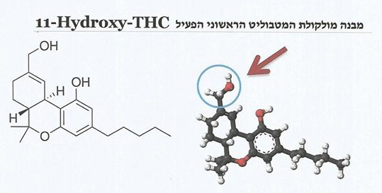 11-Hydroxy-THC