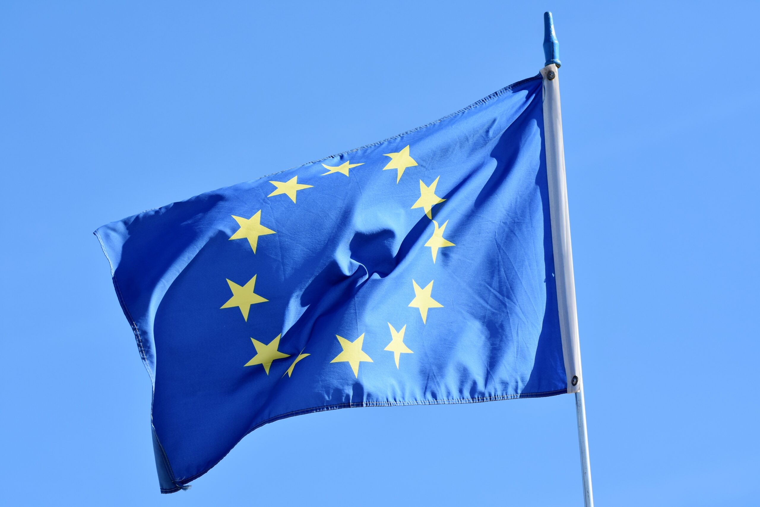 EU's Tribunal Decision on CBD Exclusion