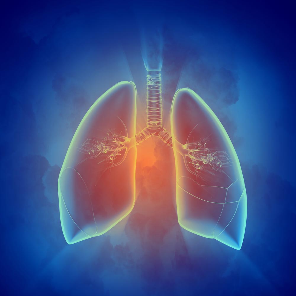 treatment for asthma | chronic obstructive pulmonary disease | pneumonia inflammation of the upper airways | chronic bronchitis | treatment of smoking damage