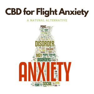 Flight-Anxiety2