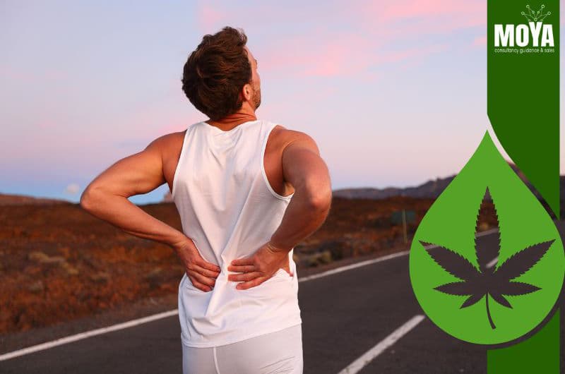 Natural back pain treatment using CBD products