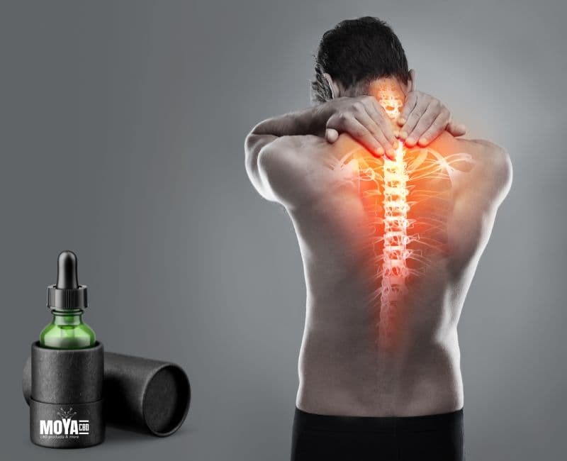 Natural back pain treatment using CBD products