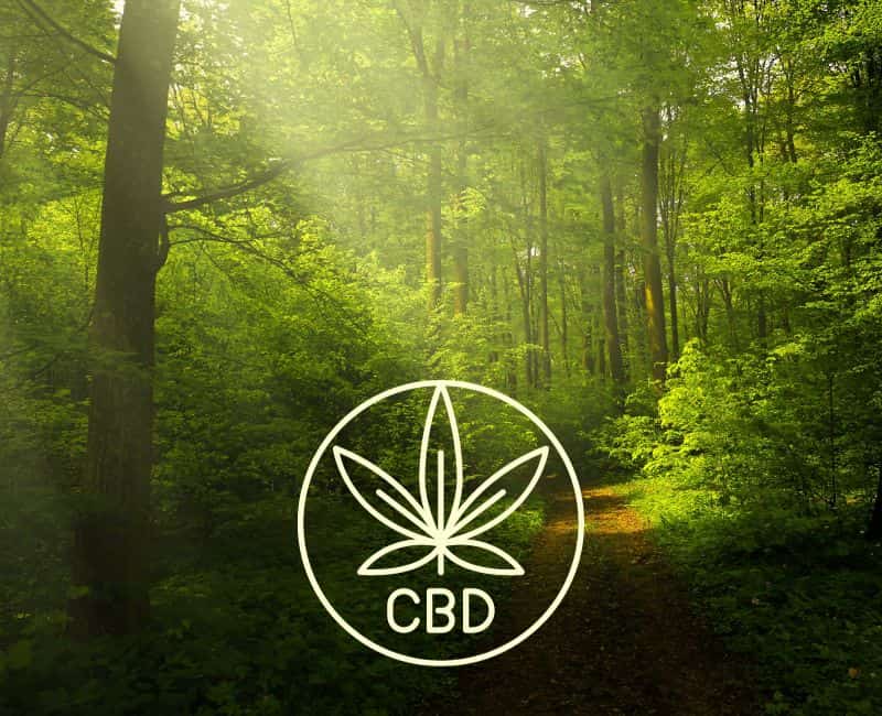 Is CBD For Everyone?​