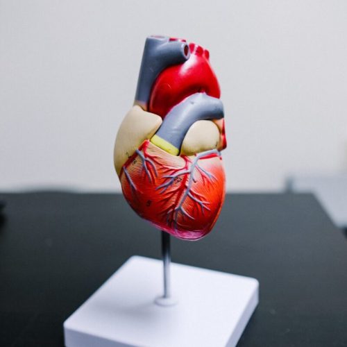 Myocarditis (myocarditis) | Ischemic heart disease | Restorative treatment after | heart attacks Lowering blood pressure | Atherosclerosis – vascular narrowing of the heart | Maintaining blood vessels in the brain | Prevention of stroke